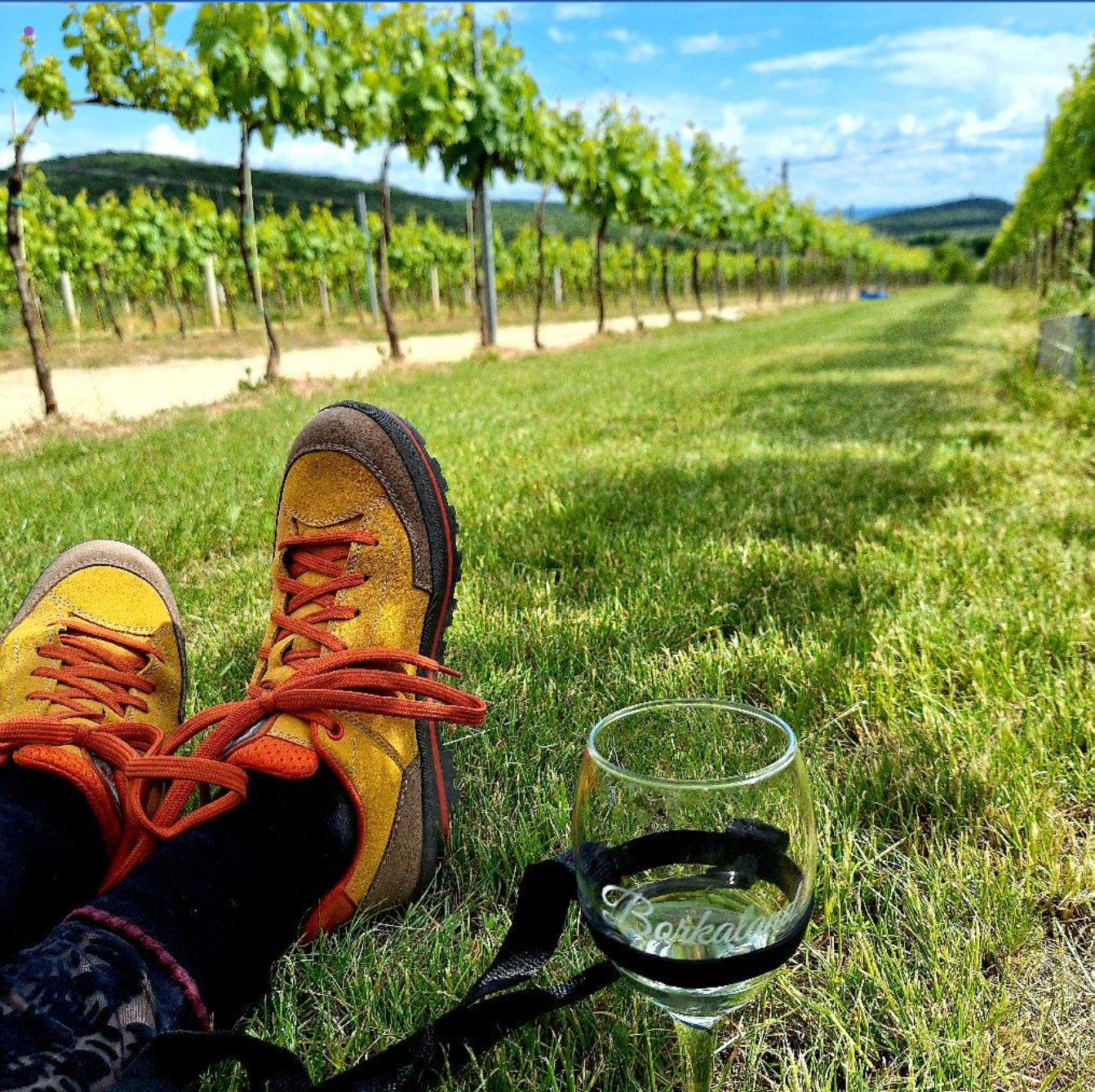 Erzsi Misztl Józsefné 